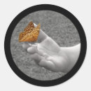 Zoek naar zwart witte vlinder stickers Foto