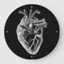 Zoek naar anatomie klokken Geneeskunde