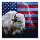 Zoek naar amerikaanse bizon kunst Western