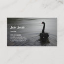 Zoek naar zwanen fotografie Elegant