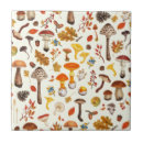 Zoek naar eikel tegels Bos