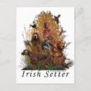Zoek naar irish briefkaarten Hond