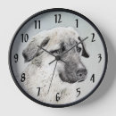 Zoek naar anatolische herder posters Puppy
