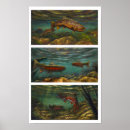 Zoek naar broek posters Elk persoon