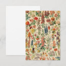 Zoek naar mol kaarten Voor iedereen