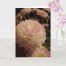 Zoek naar roze zinnia kaarten Mooi
