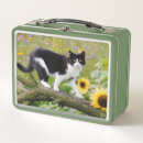 Zoek naar cute lunchboxen Tuin