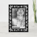 Zoek naar siberische tijger kaarten Wild