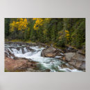 Zoek naar bos landschap posters Rivier