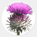 Zoek naar schotse distel stickers Hogmanay