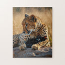 Zoek naar grote kat puzzels Ieder kind