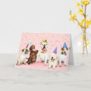 Zoek naar grappige vintage honden kaarten Humor