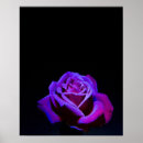 Zoek naar zwart en paars posters Bloem