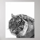 Zoek naar kinderdagverblijf decor posters Dieren