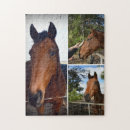 Zoek naar paarden puzzels Schattig