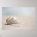 Zoek naar weekdier posters Natuur