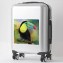 Zoek naar vogel tekening stickers Exotisch
