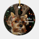 Zoek naar yorkshire terrier kerstdecoratie Schattig