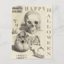 Zoek naar grunge briefkaarten Schedel