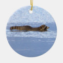 Zoek naar wasbeer ornamenten Kerstmis