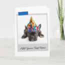 Zoek naar frenchie kaarten Hond