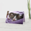Zoek naar tweeling katten kaarten Kittens