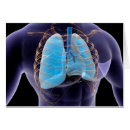 Zoek naar rib briefkaarten Digitaal geproduceerd afbeelding