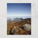 Zoek naar haleakala briefkaarten Berg
