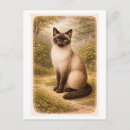 Zoek naar tekeningen katten briefkaarten Illustratie