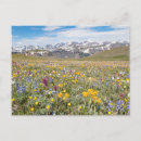 Zoek naar pasen bloemen briefkaarten Foto