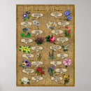 Zoek naar betekenis van bloemen posters Botanisch
