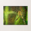 Zoek naar spin puzzels Tuin