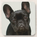 Zoek naar french bulldog onderzetters Hond