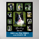 Zoek naar zwarte hond posters Honden