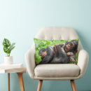 Zoek naar chimpansee kussens Aap