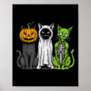 Zoek naar skelet kat posters Poes