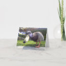 Zoek naar ontmoet kaarten Foto