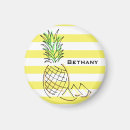 Zoek naar ananas magneten Illustratie