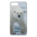 Zoek naar fauna iphone hoesjes Beer