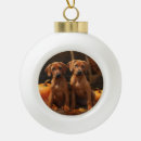 Zoek naar rhodesian ridgeback ornamenten Huisdier