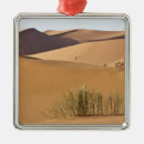 Zoek naar marokko ornamenten Reizen