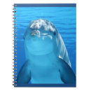 Zoek naar dolfijn Gelukkig