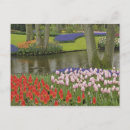 Zoek naar europees briefkaarten Tuin