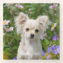 Zoek naar speelgoed honden onderzetters Schattig