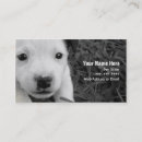 Zoek naar kennel visitekaartjes Puppy