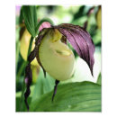 Zoek naar zeldzame posters Voor haar