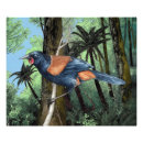 Zoek naar vogel tekening posters Vogels