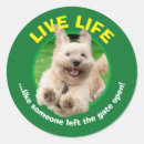 Zoek naar baarden stickers Humor