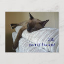 Zoek naar franse kat kaarten Humor