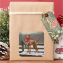 Zoek naar vizsla hond stickers Kerstmis